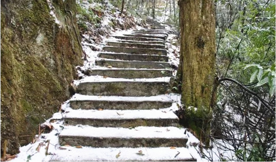 僑洋實業(yè)伙伴們在河源比架山拍的雪景