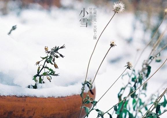 今天是小雪，將正式步入冬天嚴寒階段。